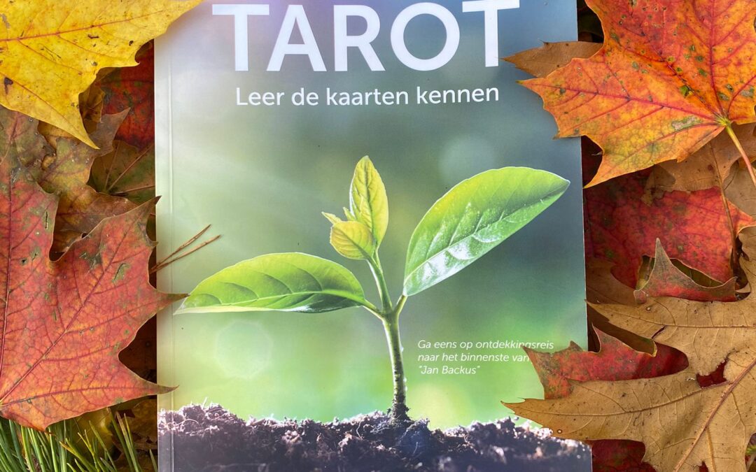 Tarotcursus Verdieping II